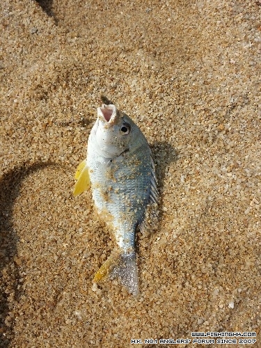 20150118_131514.jpg