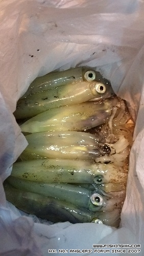 20150203_205033.jpg