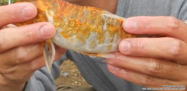 DSCN1759.JPG