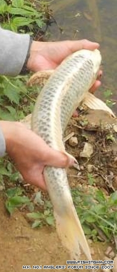 DSCN1777.JPG