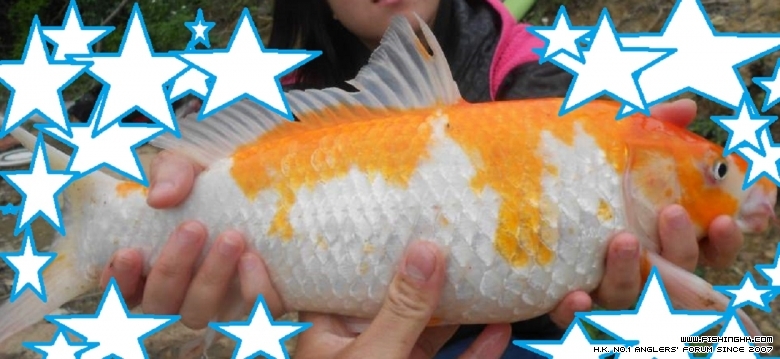 DSCN1786.JPG