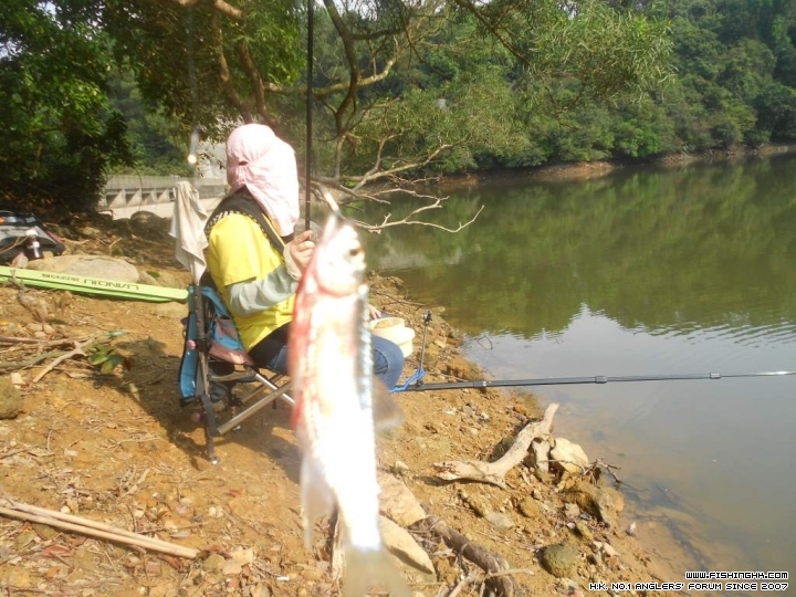 DSCN1806.JPG