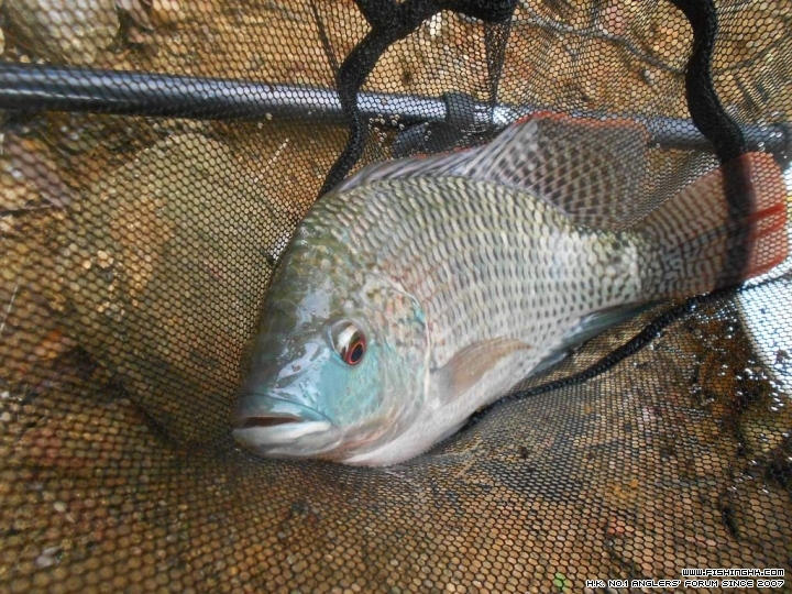 DSCN1814.JPG