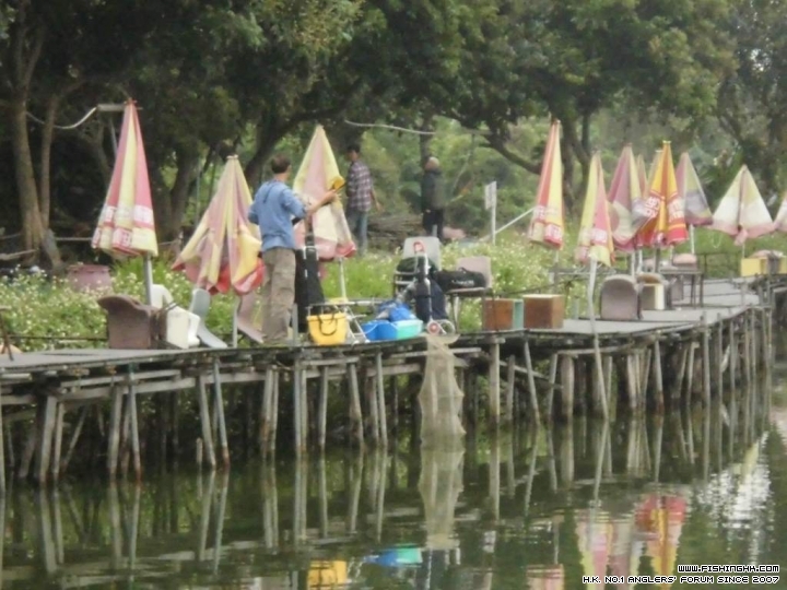 CIMG0272.JPG