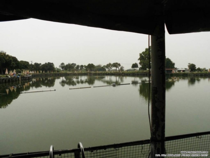CIMG0273.JPG