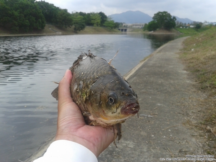 20150418_115642.jpg