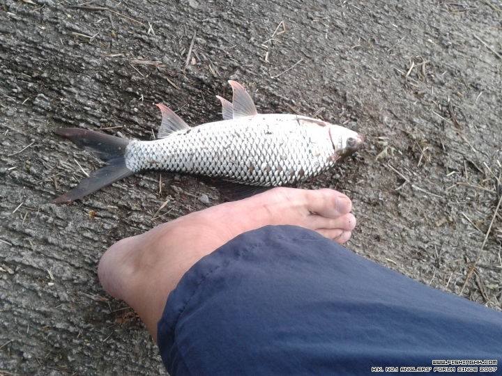 20150418_174841.jpg