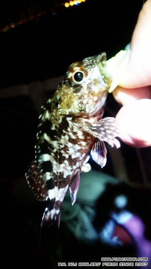 2015-04-17 22.32.21.jpg