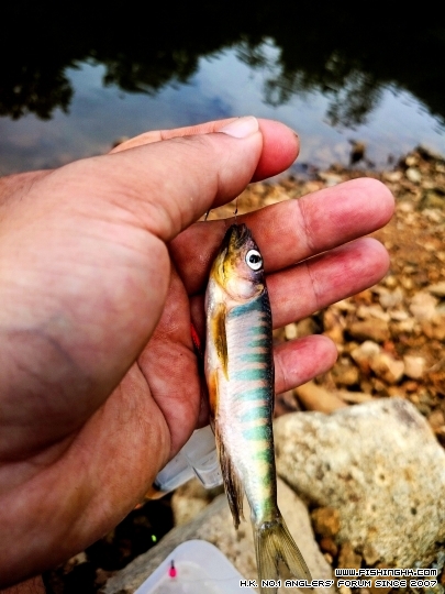 2015-05-10 16.15.35.jpg
