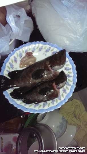 IMG-20150430-WA0049.jpeg