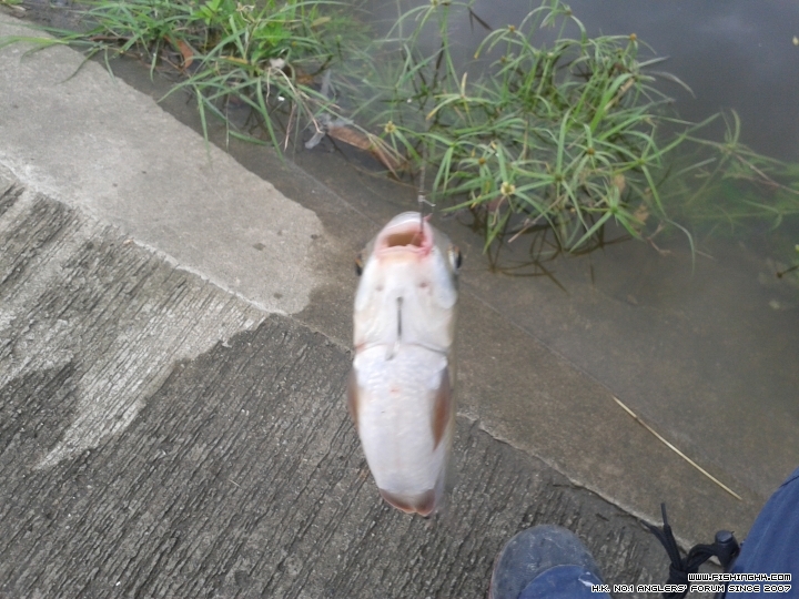 20150516_100632.jpg