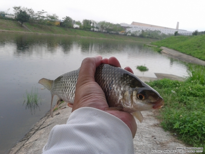 20150516_132749.jpg