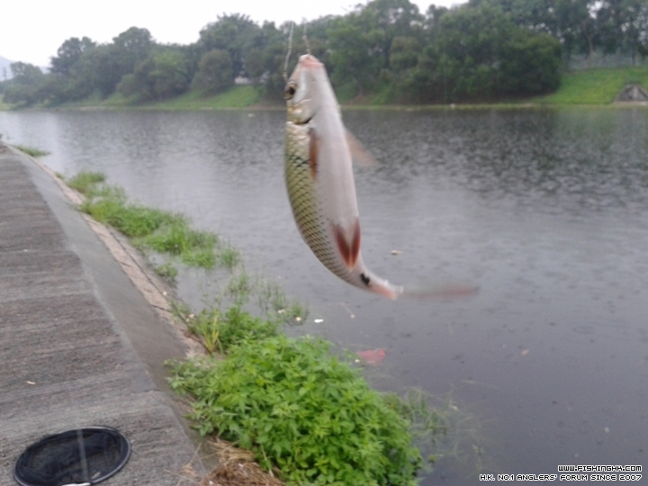 20150516_164120.jpg