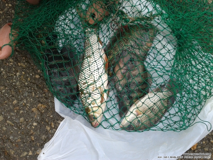 20150517_171352.jpg