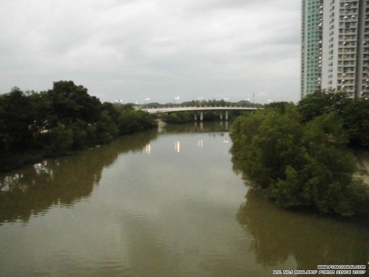 CIMG0372.1.JPG
