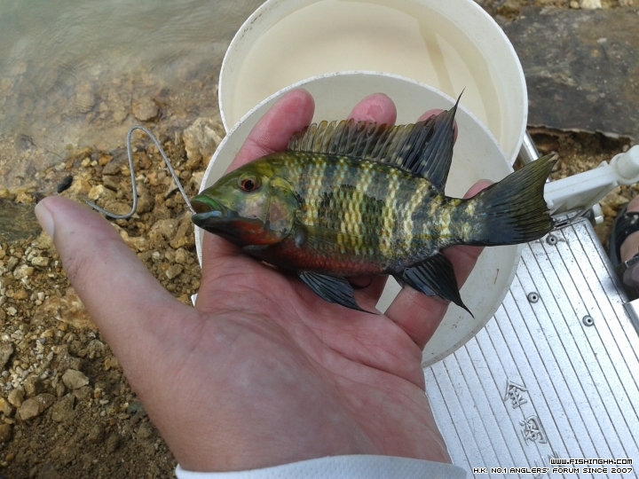 20150525_112821.jpg