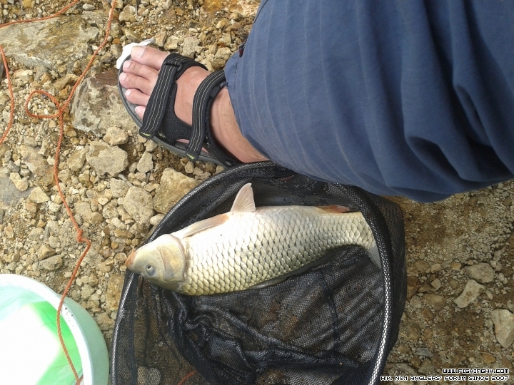 20150525_153652.jpg