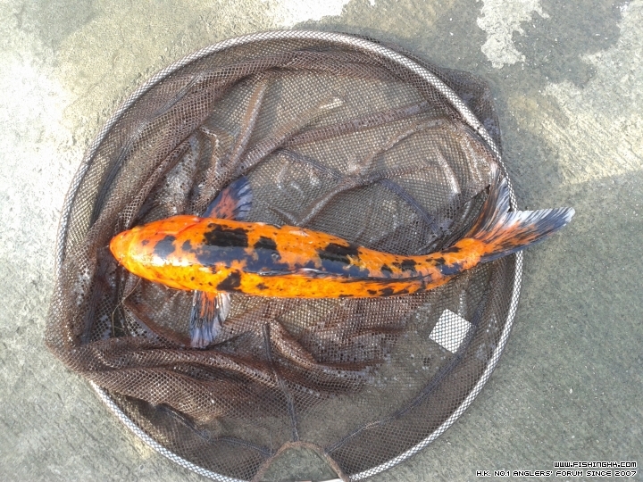20150530_080231.jpg