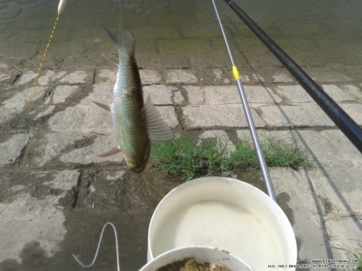 20150530_095355.jpg