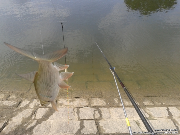 20150530_095358.jpg