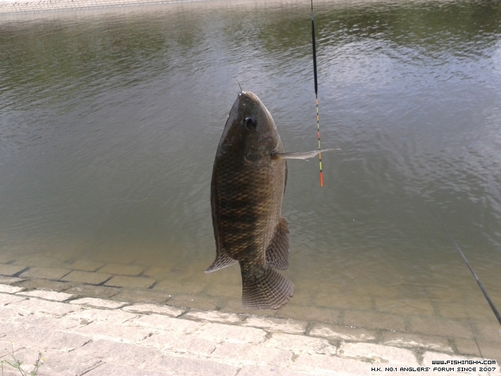 20150530_111816.jpg