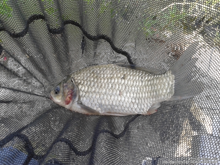 20150530_154335.jpg