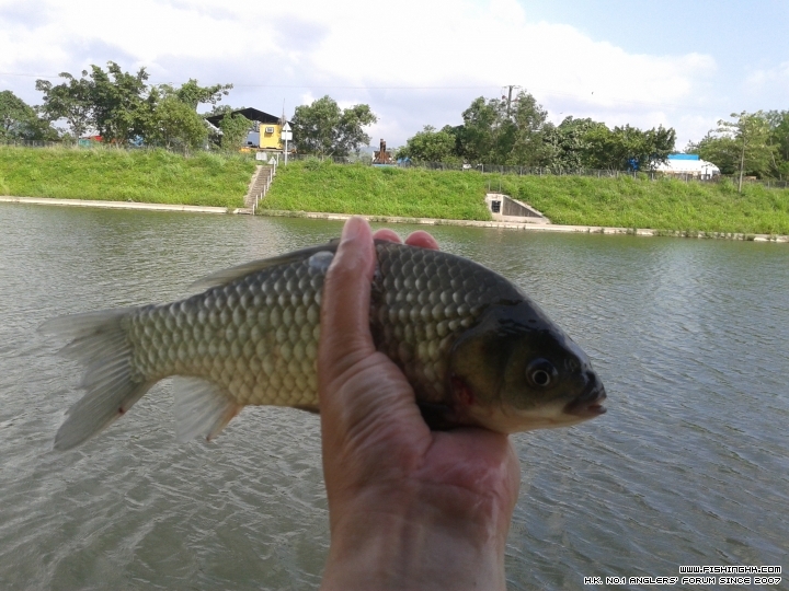 20150530_154408.jpg