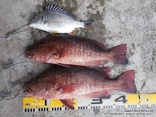 20150531_080055.jpg