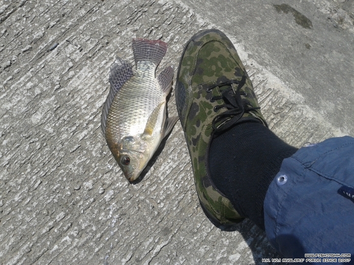 20150606_111923.jpg