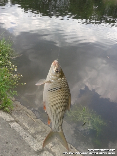 20150606_115340.jpg