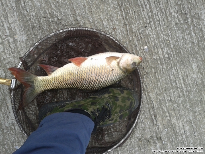 20150606_115647.jpg