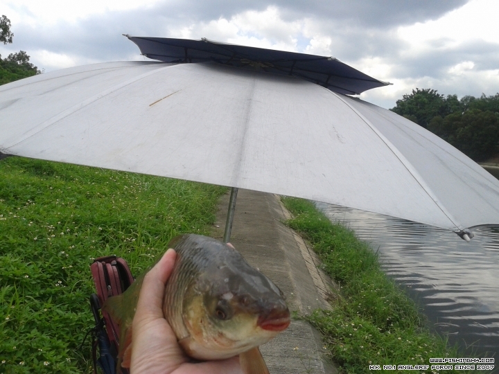 20150606_115700.jpg