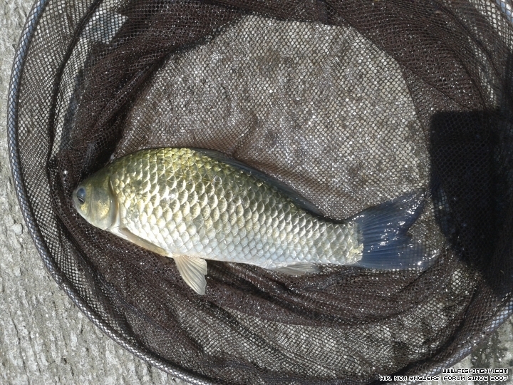 20150606_125605.jpg