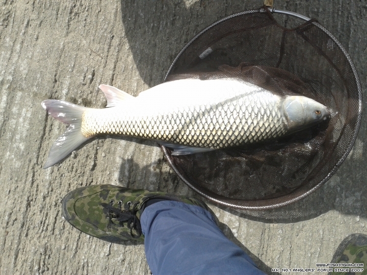 20150606_150545.jpg