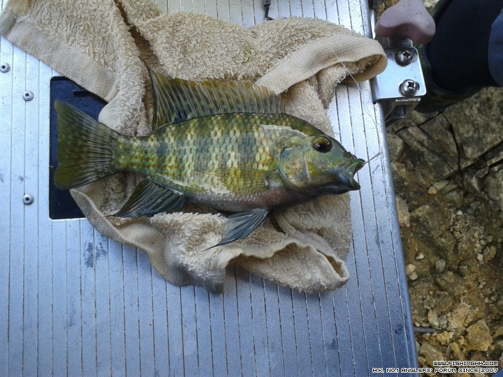 20150614_091914.jpg