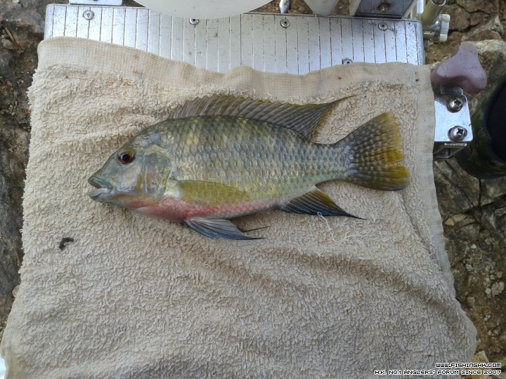 20150614_111401.jpg