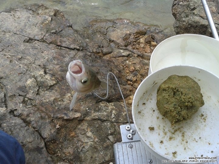20150614_122556.jpg