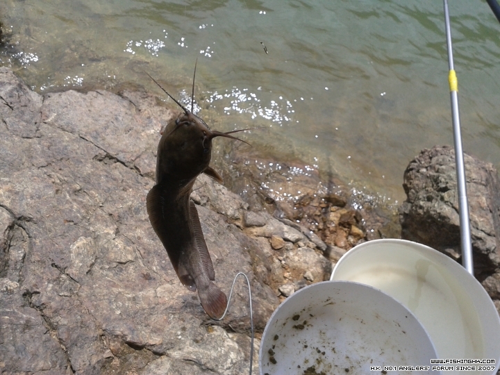 20150614_131801.jpg