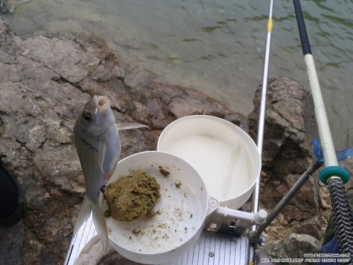 20150614_152011.jpg
