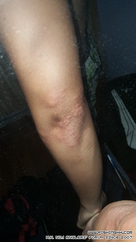 20150615_214809.jpg