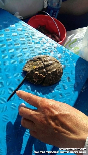 雨後星期六..  唔多開口