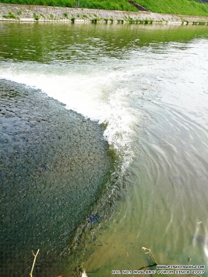 C360_2015-07-04-15-44-48-327.jpg