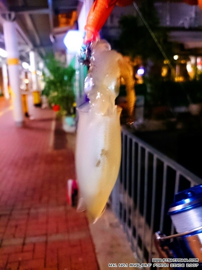 C360_2015-07-03-23-55-14-686.jpg