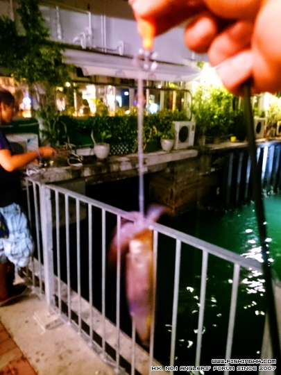 C360_2015-07-04-00-01-36-325.jpg