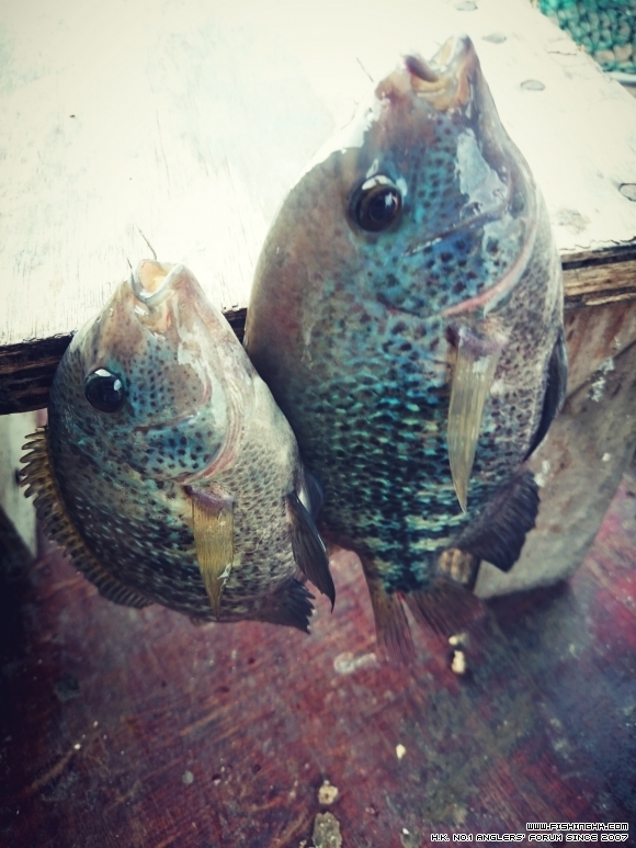 2015-07-29 14.40.49.jpg