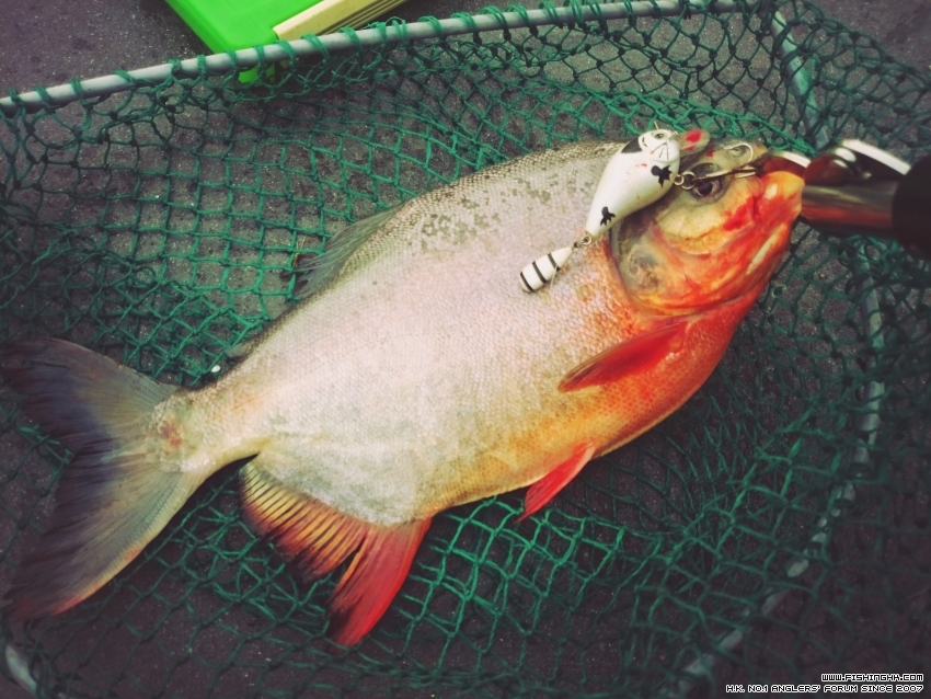 2015-07-29 18.00.30.jpg