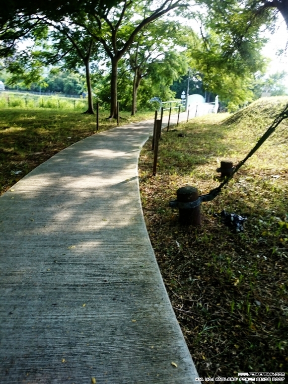 2015-09-06 16.13.03.jpg