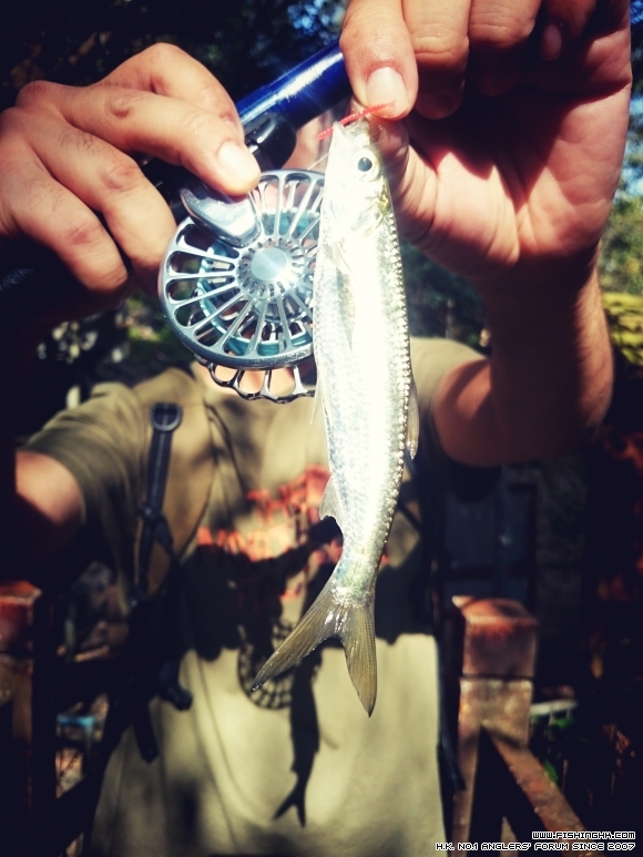 2015-12-13 14.10.41.jpg