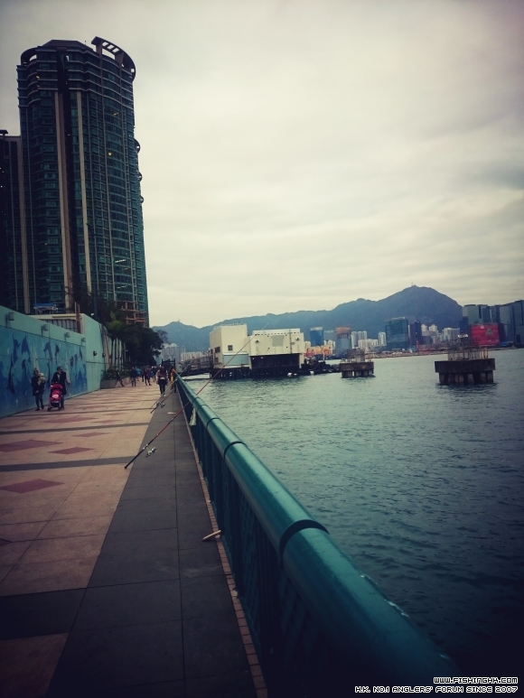 2015-12-06 17.03.18.jpg