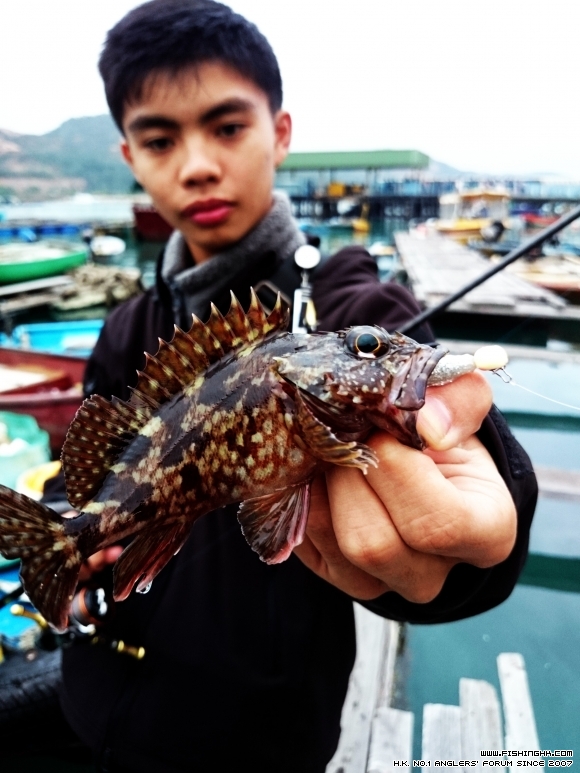 2015-12-26 17.20.28.jpg